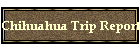 Chihuahua Trip Report